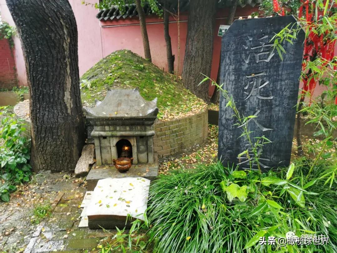 我与全运会的故事,我和校运会的故事作文