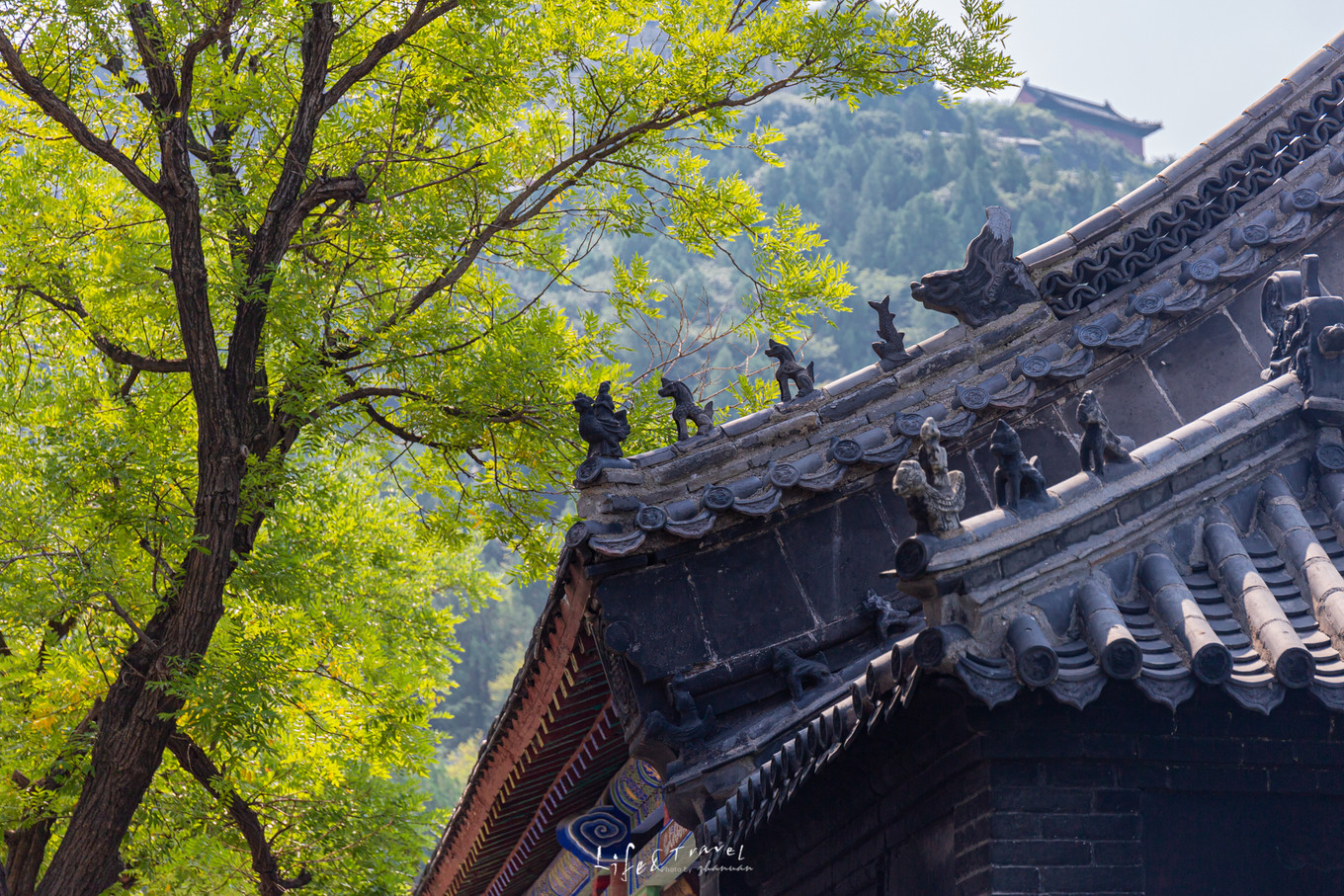 山东青州旅游攻略大全,山东青州旅游攻略夏天景点