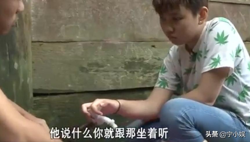 芒果台目前有啥综艺,芒果台没落