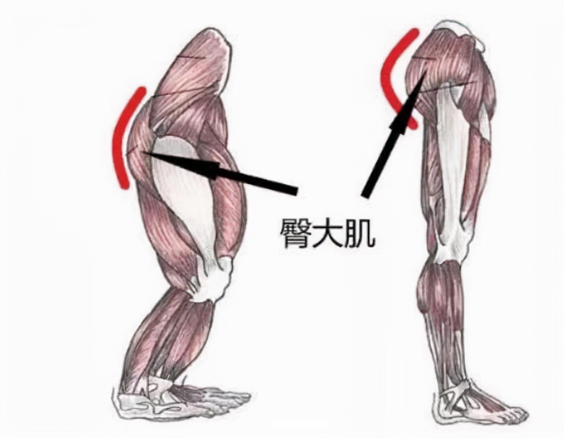 为什么有的人会长“肛毛”?可以直接刮掉吗?听听医生怎么说