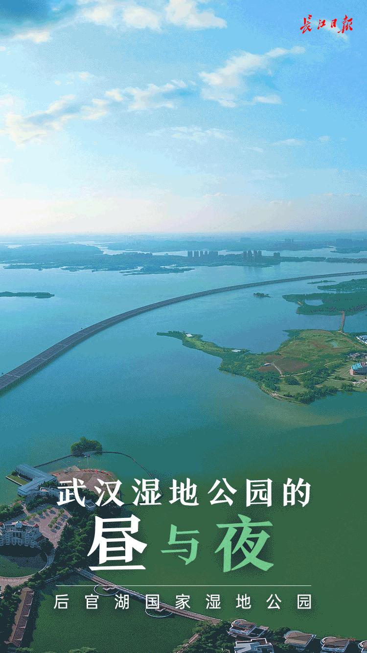 湖北武汉藏龙岛湿地公园,武汉藏龙岛湿地公园