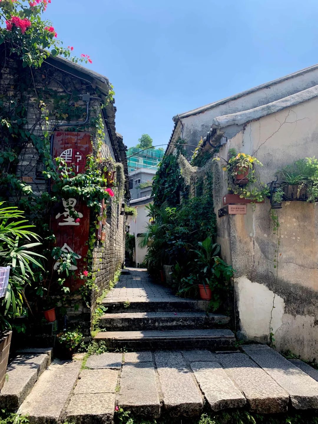 500亿砸出来的深圳古村，客家围屋、炮楼、还能玩穿越