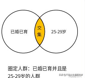 如何运营达摩盘,达摩盘人群怎么玩