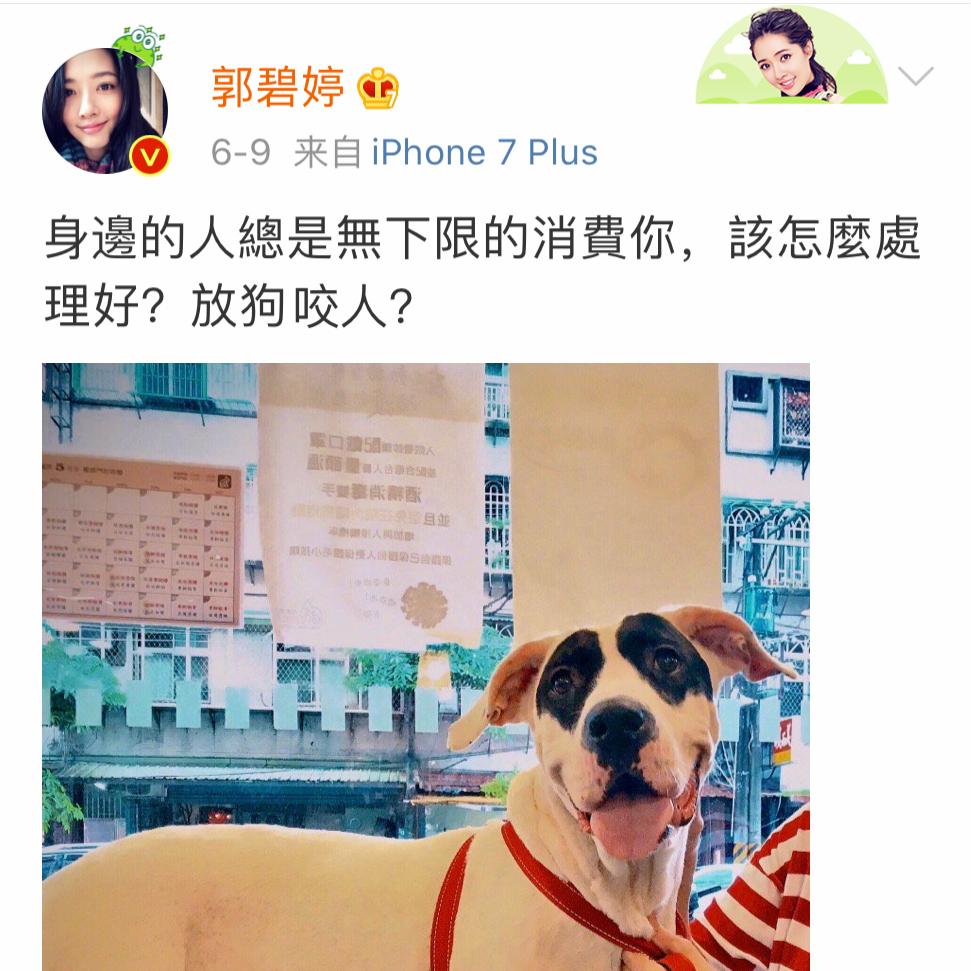 郭碧婷试管生孩子吗,郭碧婷是不是很幸运嫁了豪门