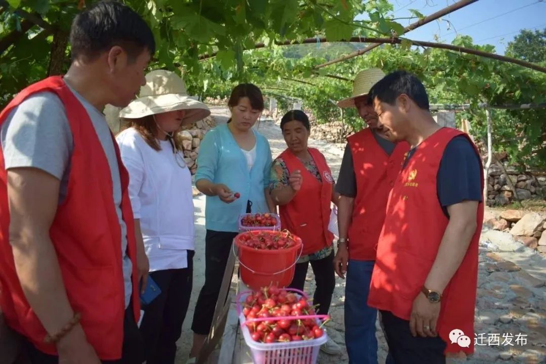 迁西樱桃红照片,迁西长城脚下樱桃