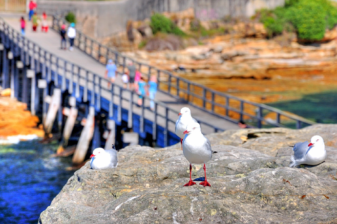 澳秘,奥秘球杆好用吗