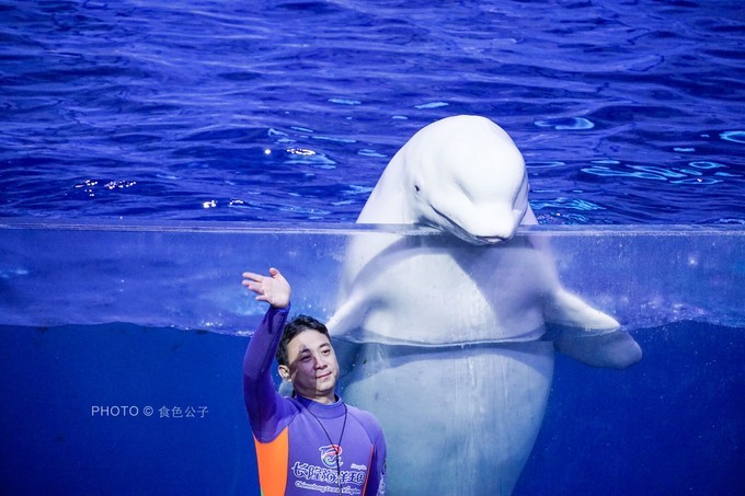 珠海横琴除了长隆还有什么东西玩,横琴有哪些景点可以玩儿