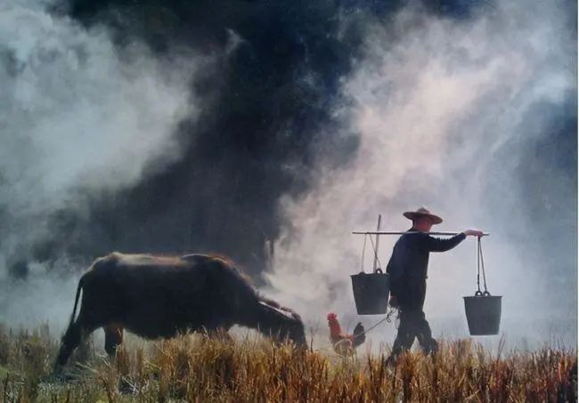 为什么扫黑除恶基本都涉及土方？土方几乎是最光明正大的灰产之一