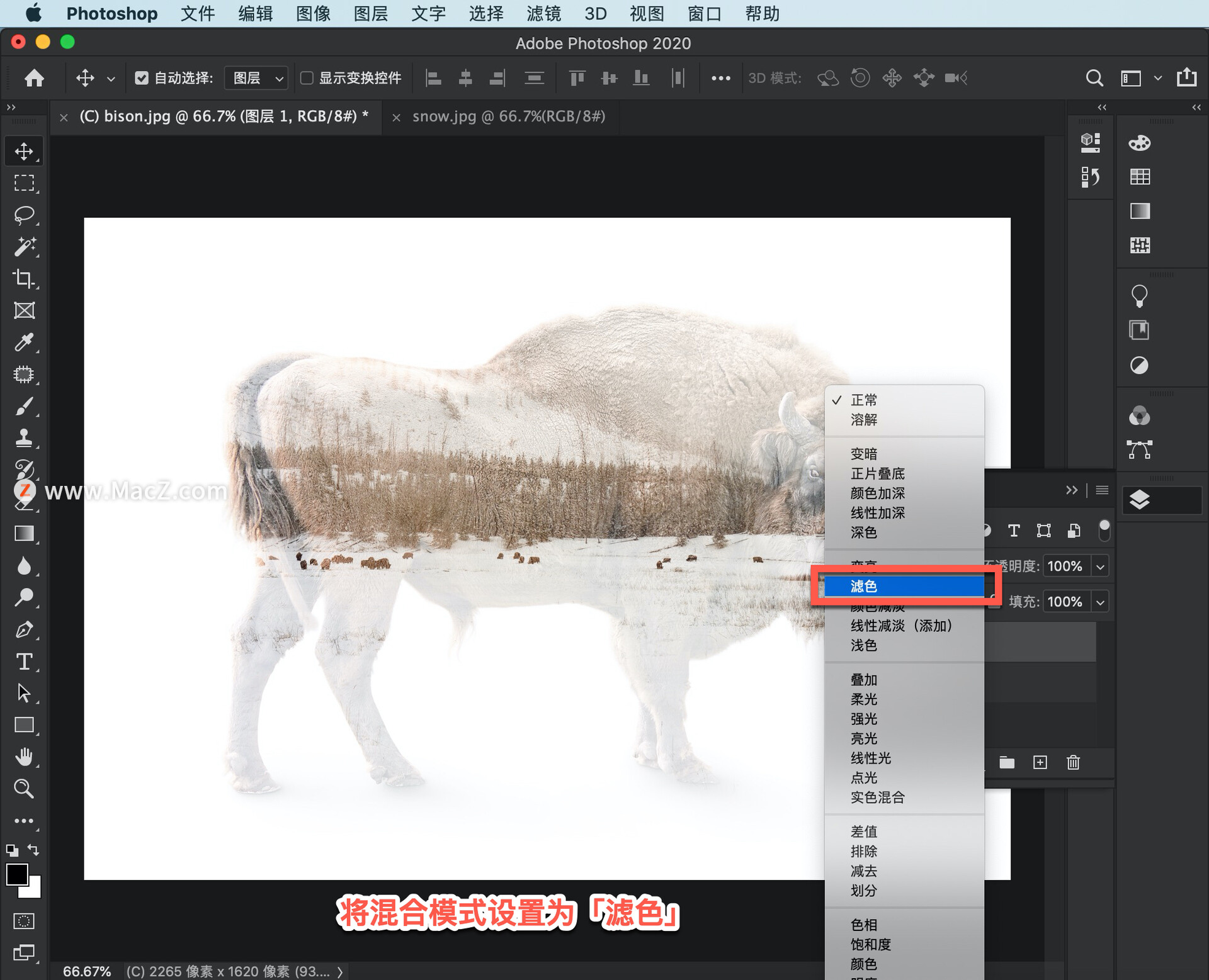 ps中怎么创建选区,ps教程百张相片