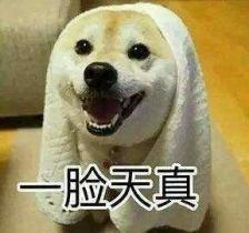 大牌平价护肤品必入单品,大牌和平价护肤品真的不一样吗