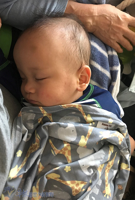 怎么带两岁小孩旅游,适合带3岁小孩去旅行