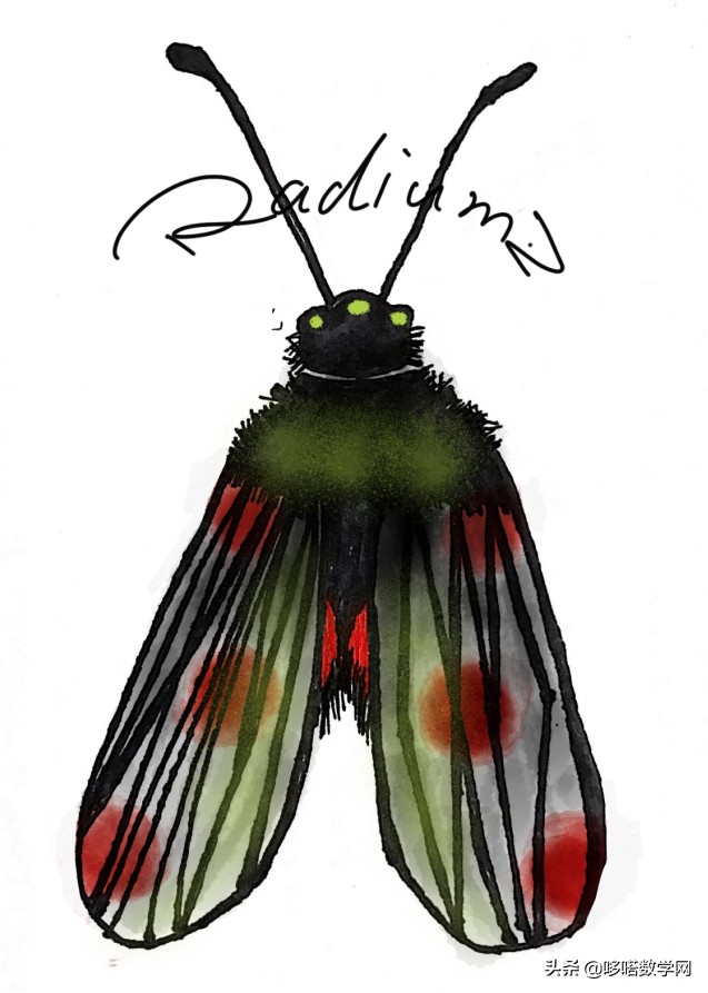 数学蝴蝶翅膀公式,蝴蝶翅膀上的数学