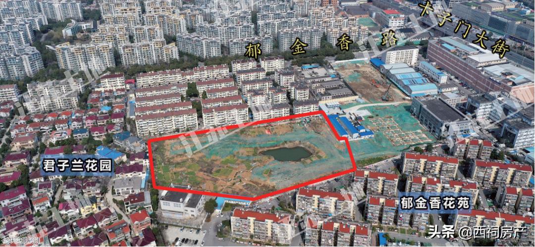 南京雨花台区2024土地招商推介会,雨花台区签约29个项目