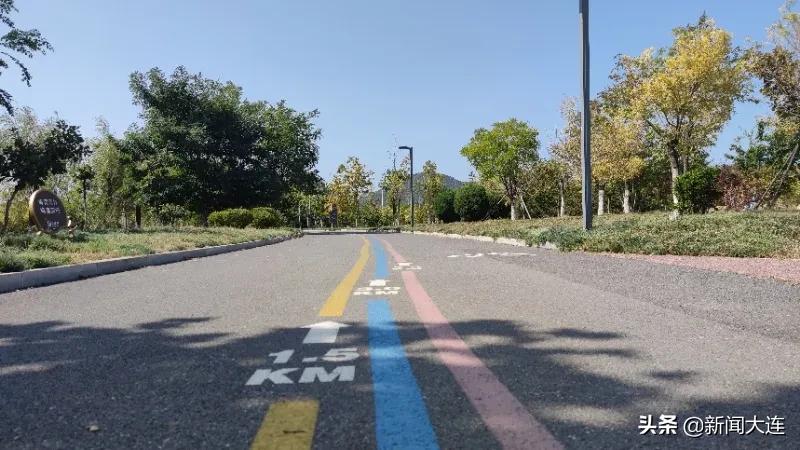 大连赏秋免费的地方,大连赏秋打卡地