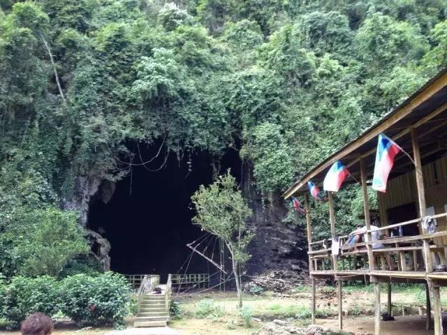 印尼燕窝和马来燕窝哪个更好,印尼燕窝好还是泰国好