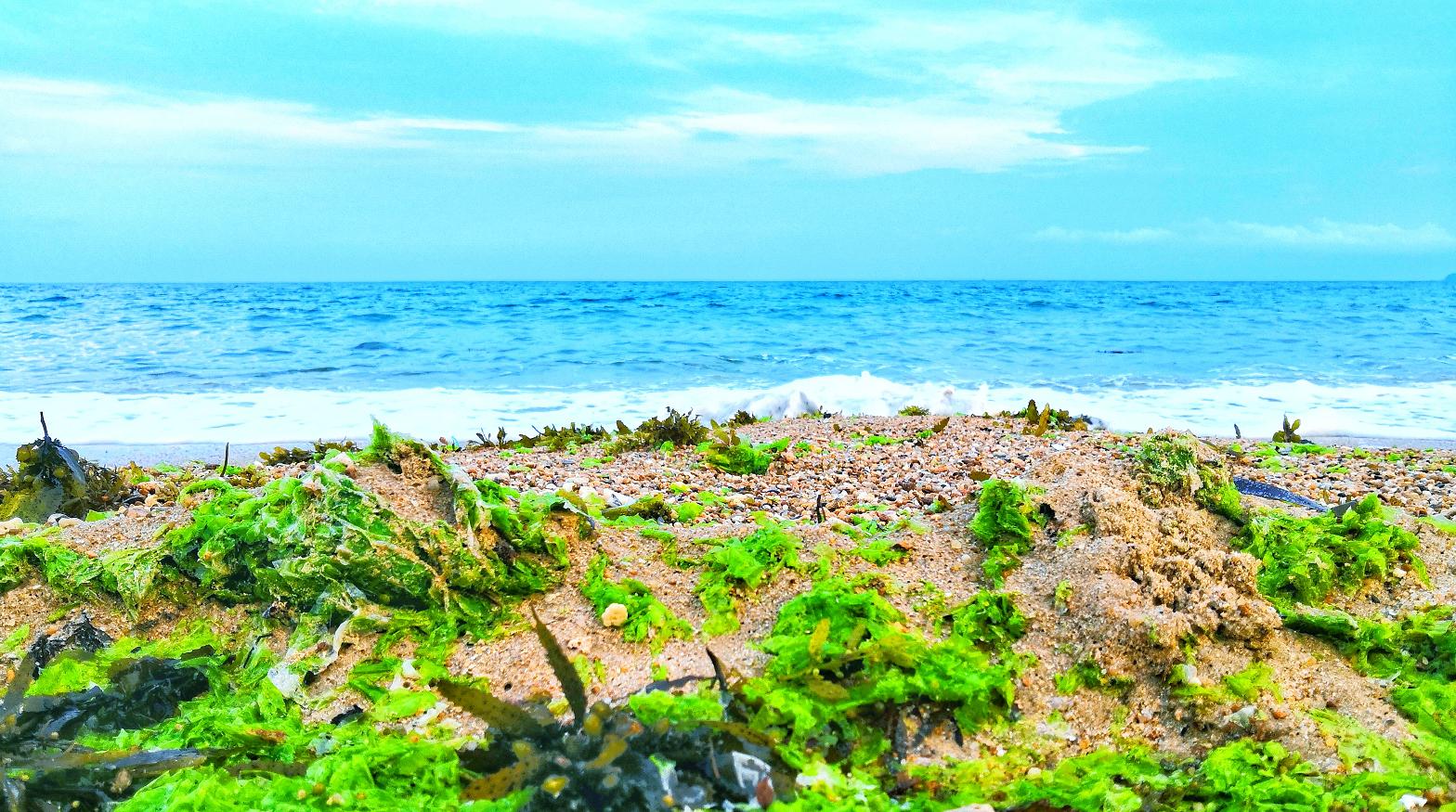 三亚如何找性价比高的住宿,三亚的高端酒店怎么选