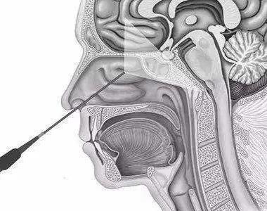 抽血泌乳素偏高一倍怎么办,抽血检查垂体泌乳素是什么
