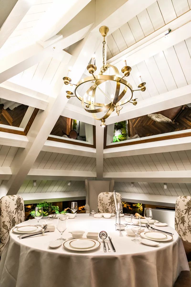 上海最贵火锅有哪几家,上海好吃火锅店排名第一