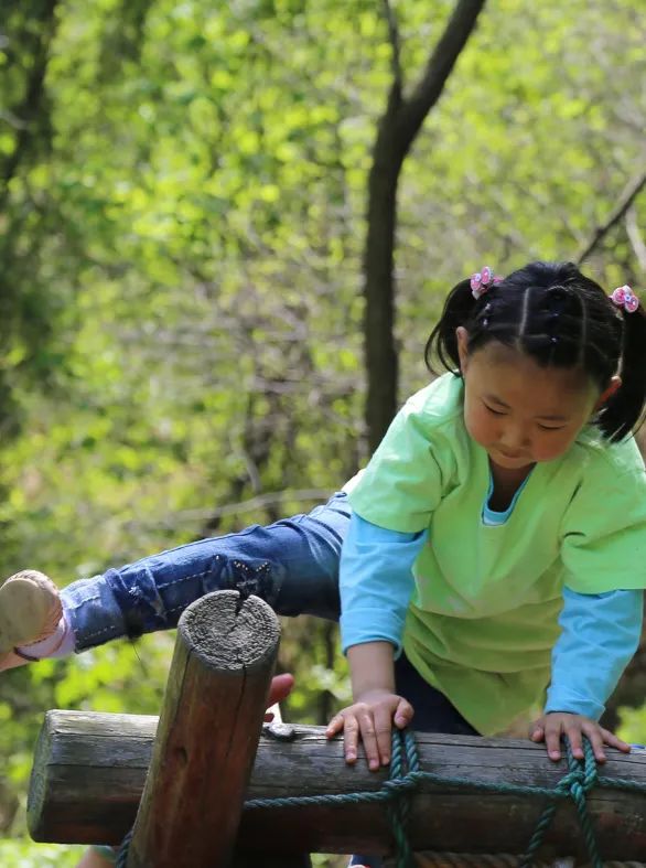 济南红叶谷四夜夏令营,红叶谷夏令营第五批