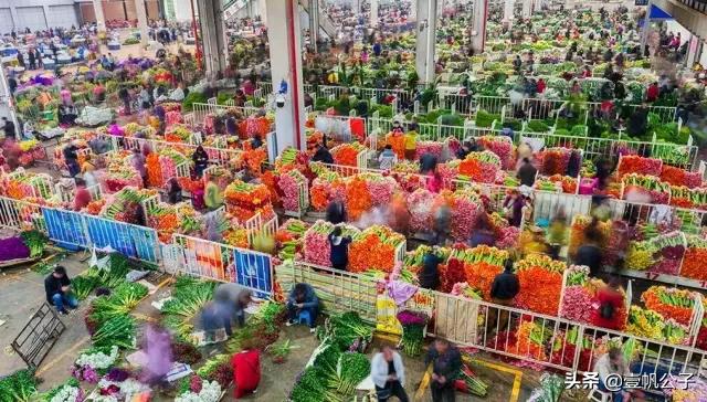 被大理的美景所折服,被丽江的风景美到了