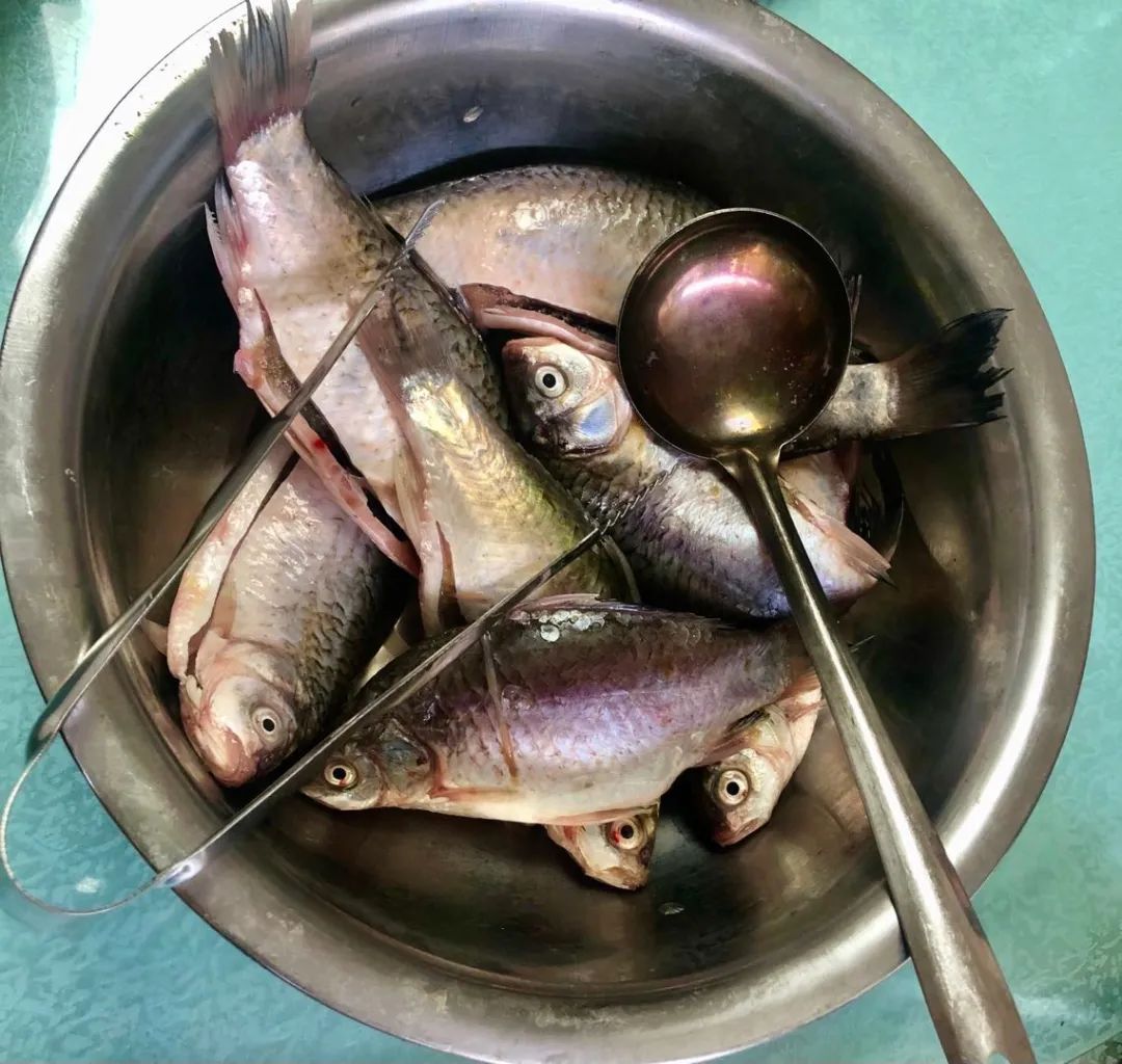 在长春想吃海鲜去哪里,长春哪家鱼馆江鱼好吃