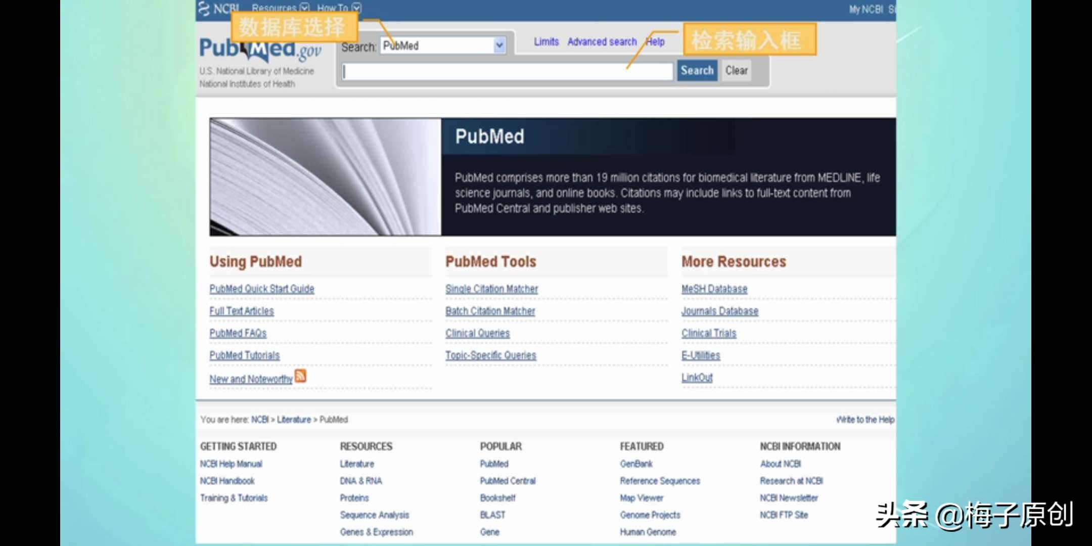 常用的医学文献数据库,医学文献检索二次文献的名词解释