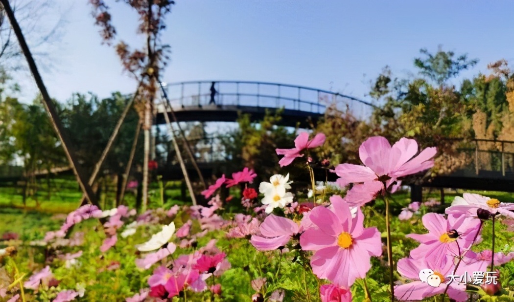 北京大型室内儿童游乐场,北京露天游乐场地设计