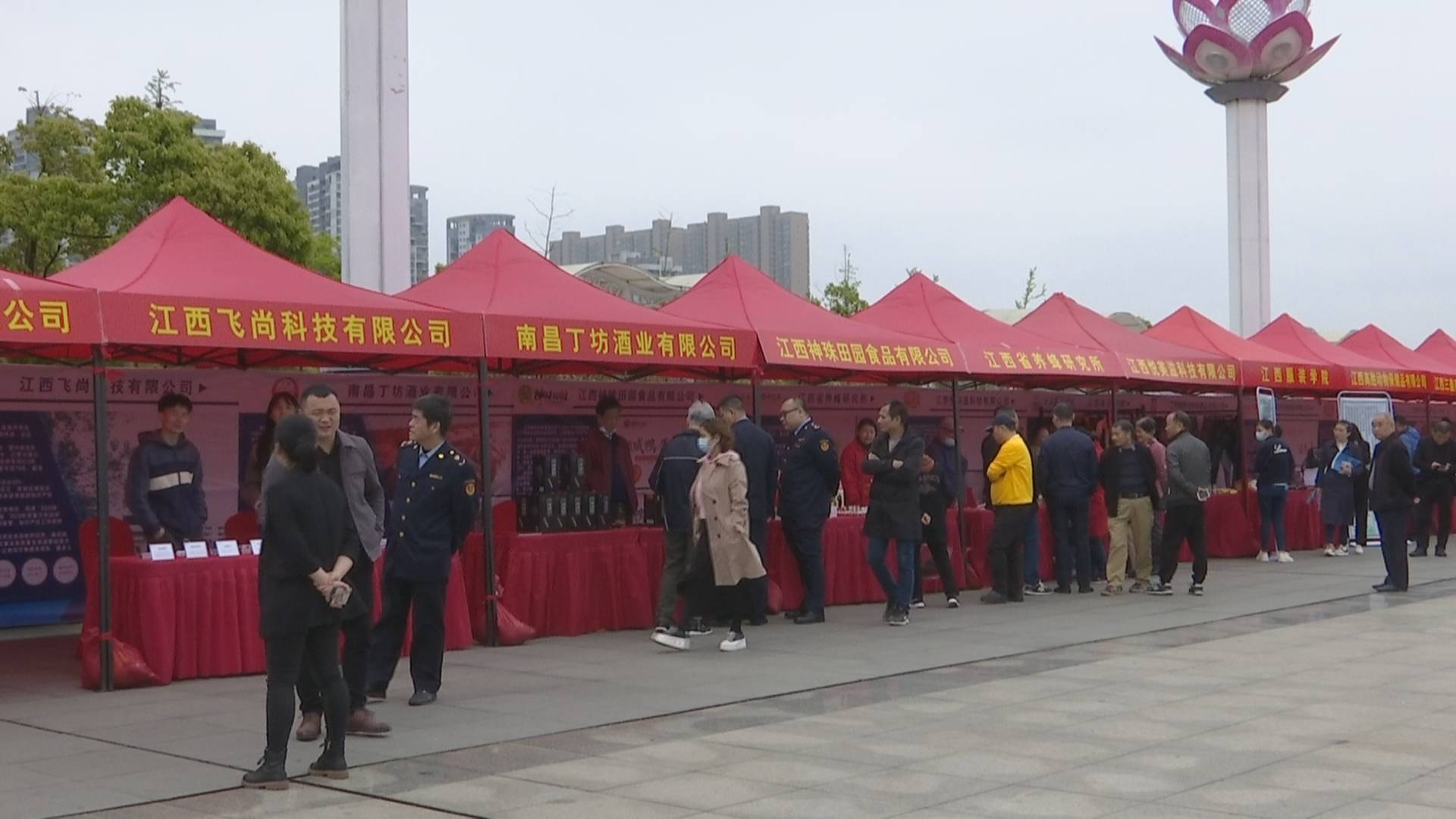 强化知识产权服务江西省南昌,多措并举知识产权保护显成效