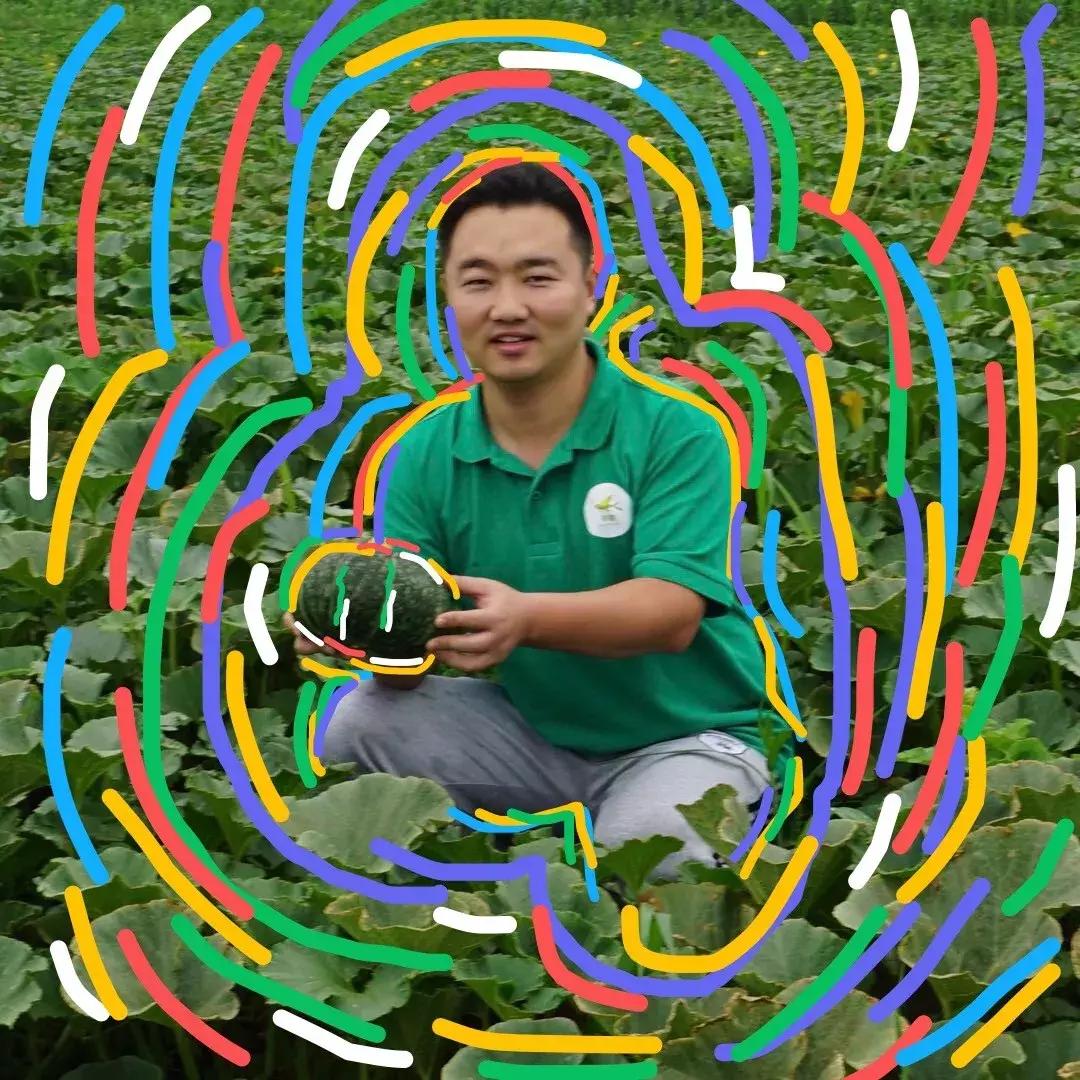 在大自然当中寻找有机蔬菜,为大家采摘绝对新鲜的有机蔬菜