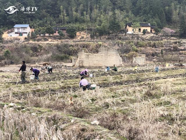 战疫日记｜疫情防控不松懈，春耕复工干劲足