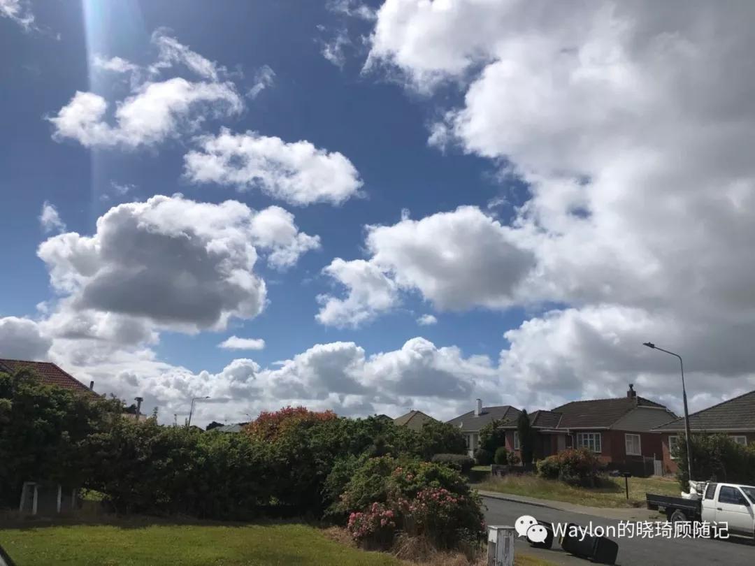 2019新西兰,2019年新西兰