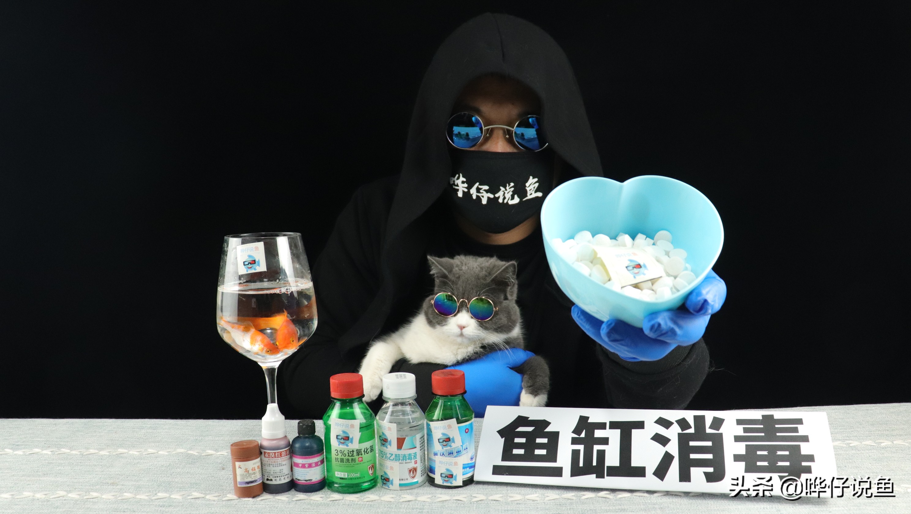 鱼缸消毒的方法和注意事项,怎样给鱼缸消毒最好最干净