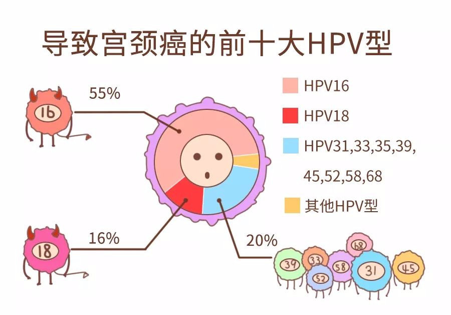 宫颈癌疫苗真的能预防hpv吗,你了解宫颈癌筛查吗
