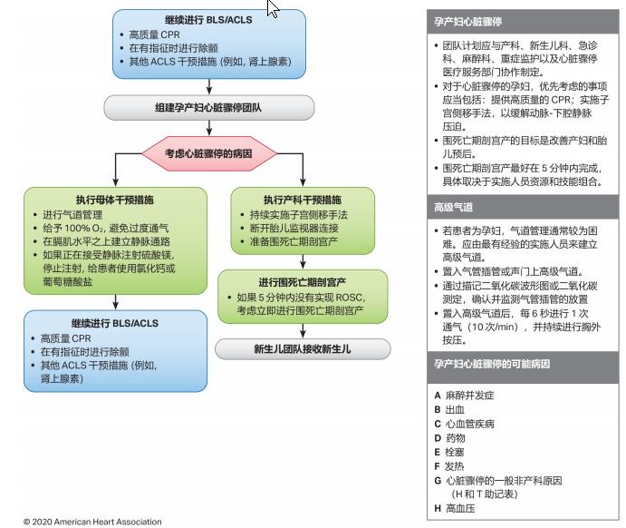 抢救心脏骤停按压哪里,孕妇心脏骤停抢救时的按压体位