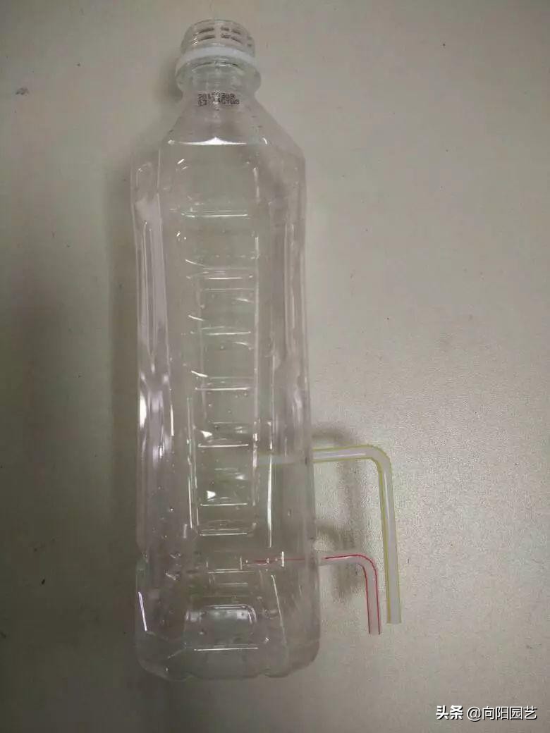 出差自制浇水神器,出外旅游自制浇花神器