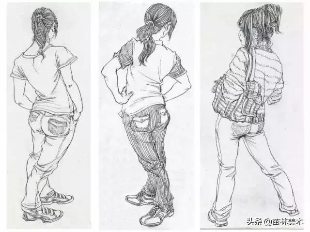 最全的速写的理论知识,速写最快学会