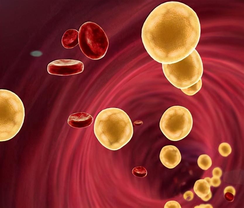 血脂康能代替他汀长期吃吗,血脂康能代替他汀药稳定斑块