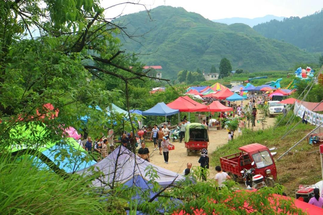 羊安杨梅节直播,羊安杨梅采摘