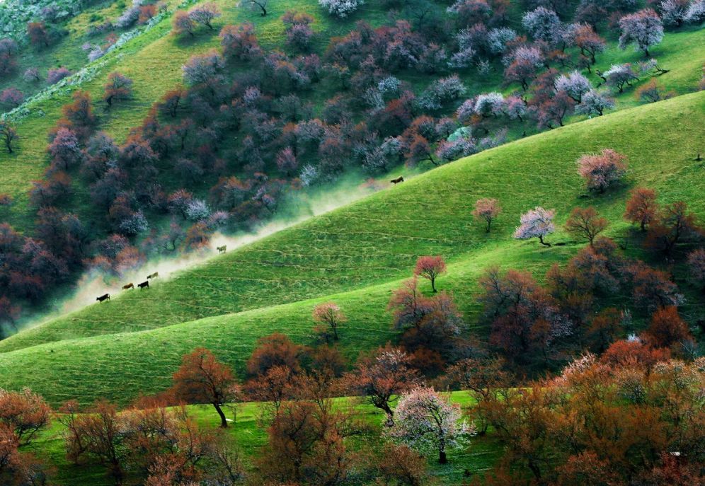 2020旅行时间表,2021年旅行时刻表出炉