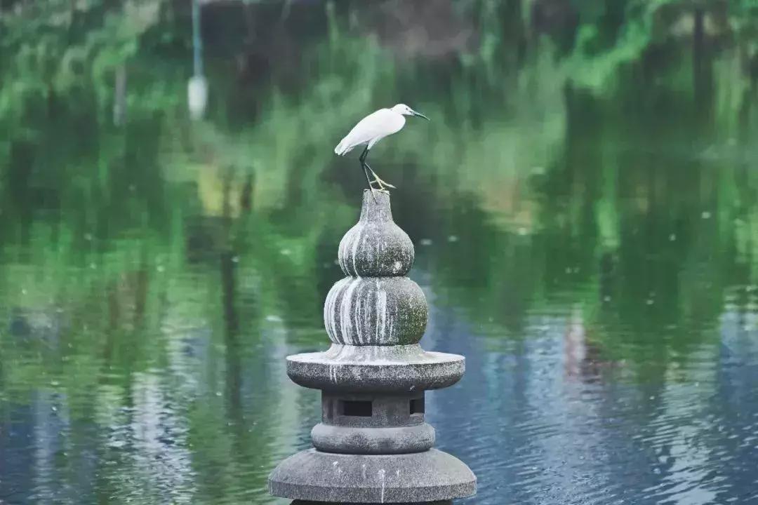 地铁直达的成都周边的好耍的地方,成都地铁能够到达好耍的地方