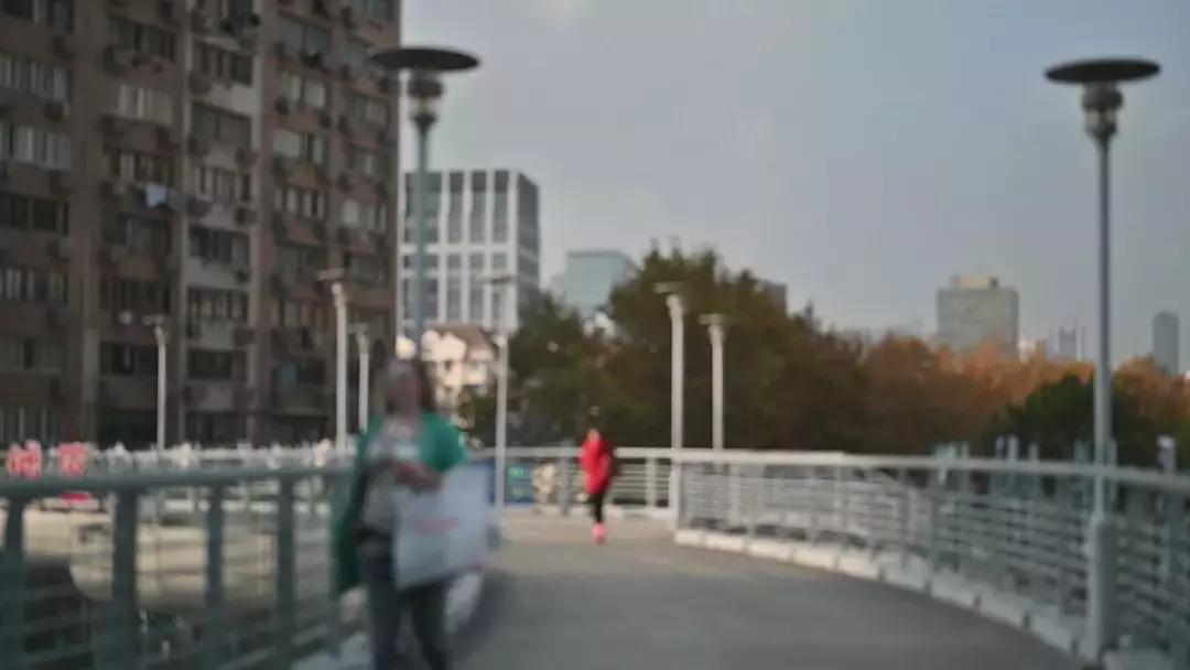 适马85mmf1.4art与蔡司55mmf1.8,适马501.4art与适马501.4