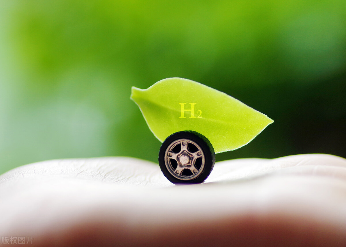 怎么弄死本国的新能源汽车产业，日本有现成答案