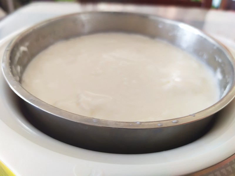 小熊酸奶机希腊酸奶,自制酸奶酸奶机版