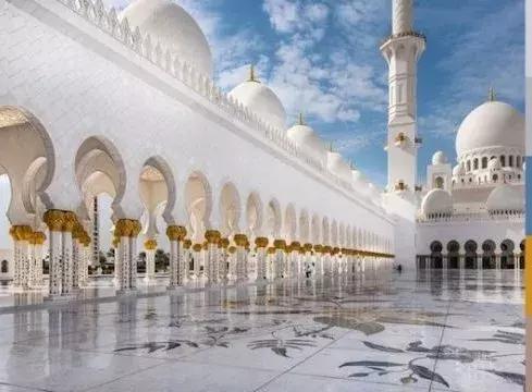 999张图片视频的卡点模板,服装设计素材收集与整理