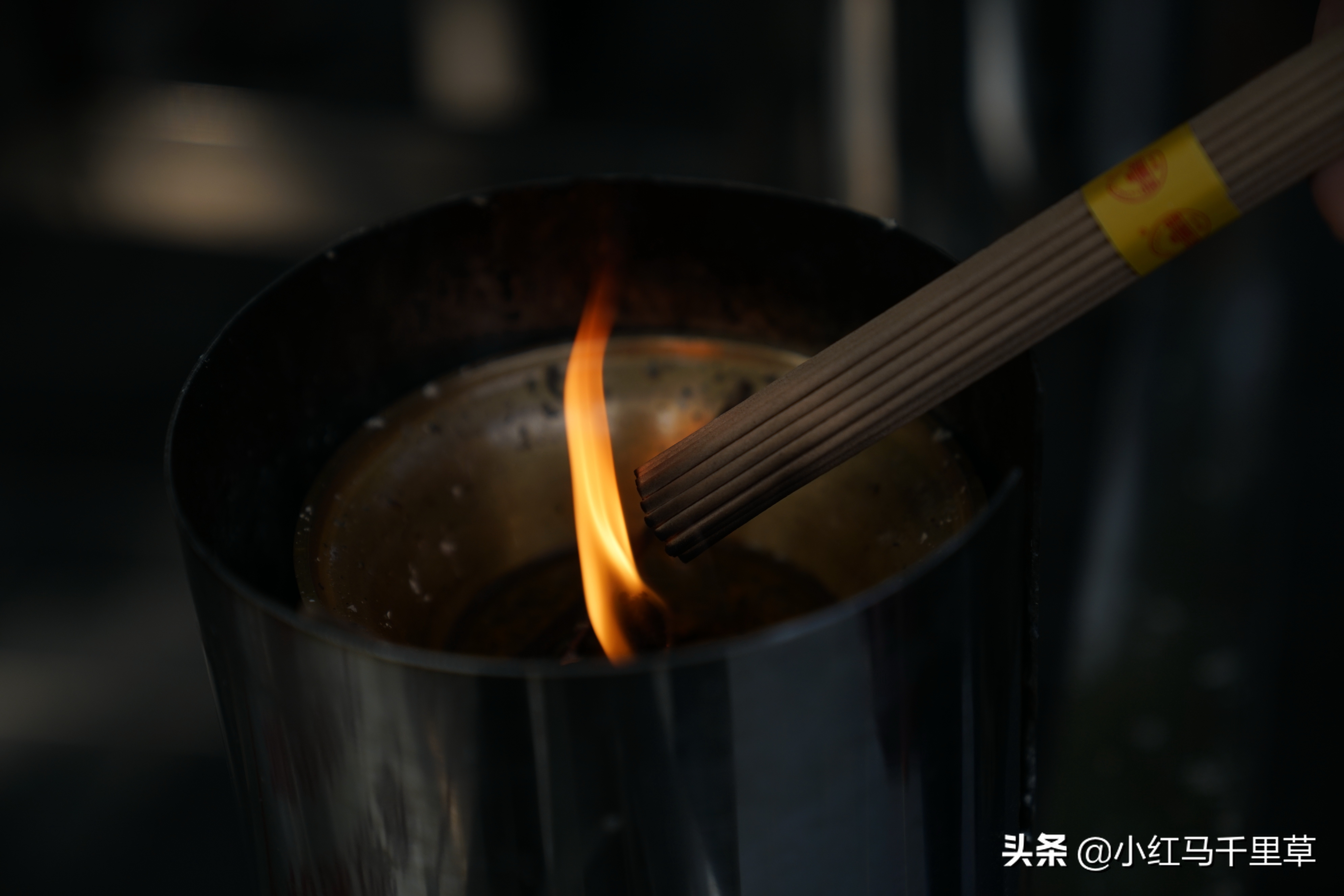 雍和宫游览记,北京行记