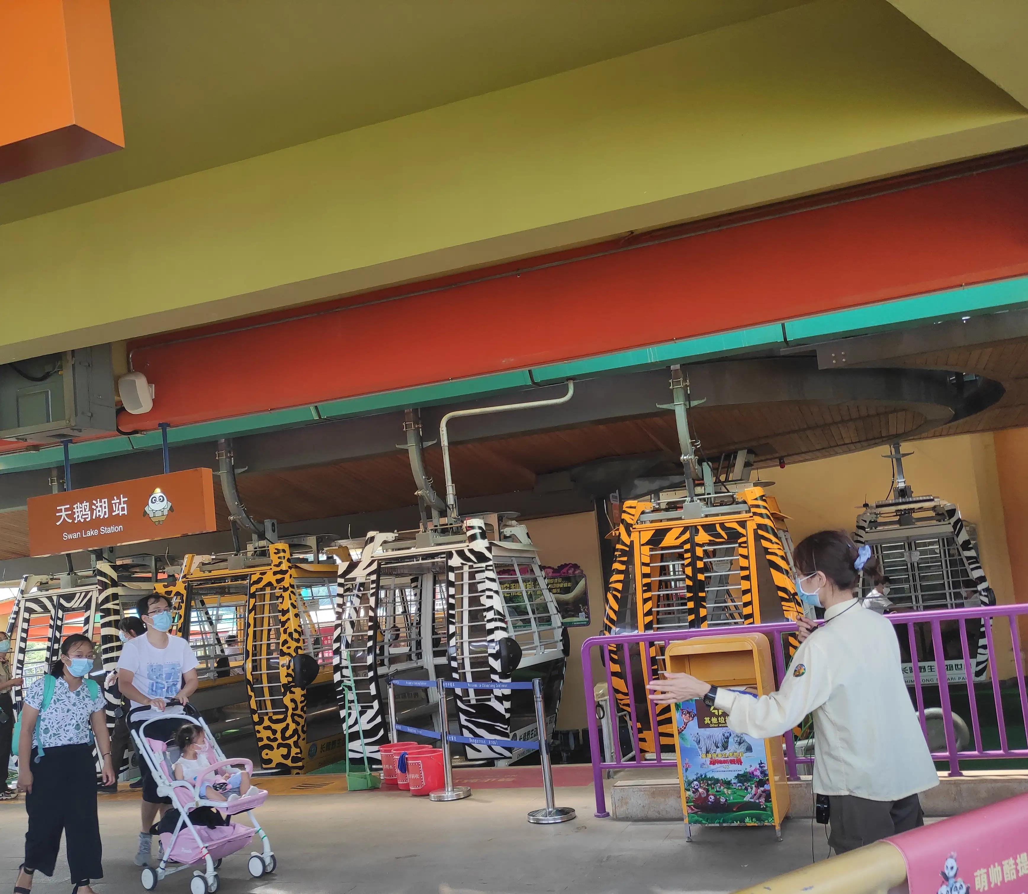 外地人去长隆野生动物园攻略,住在广州长隆野生动物园攻略