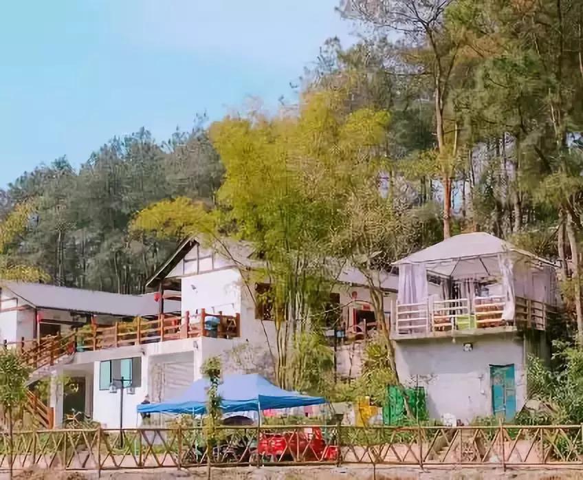 成都哪些值得去的农家乐,春季成都十大必去农家乐