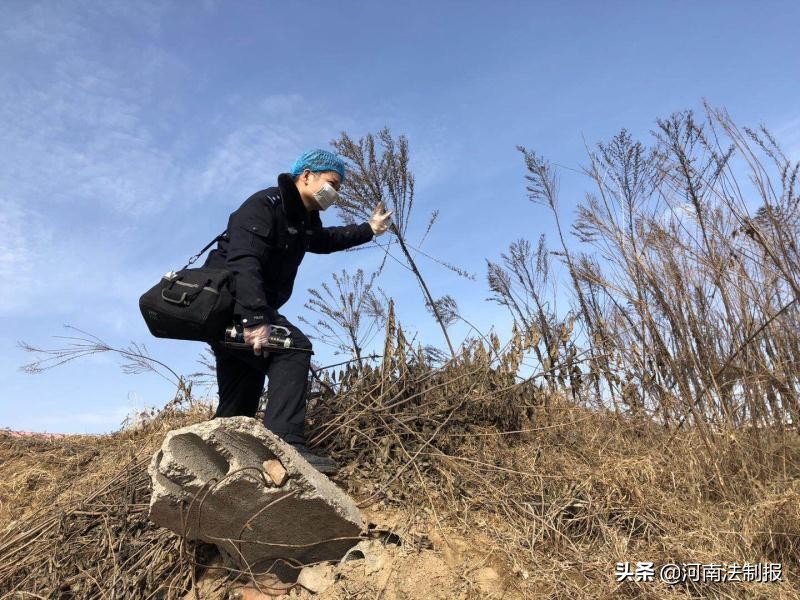 警方打掉3个流窜作案团伙,郑州警方抓获一诈骗团伙