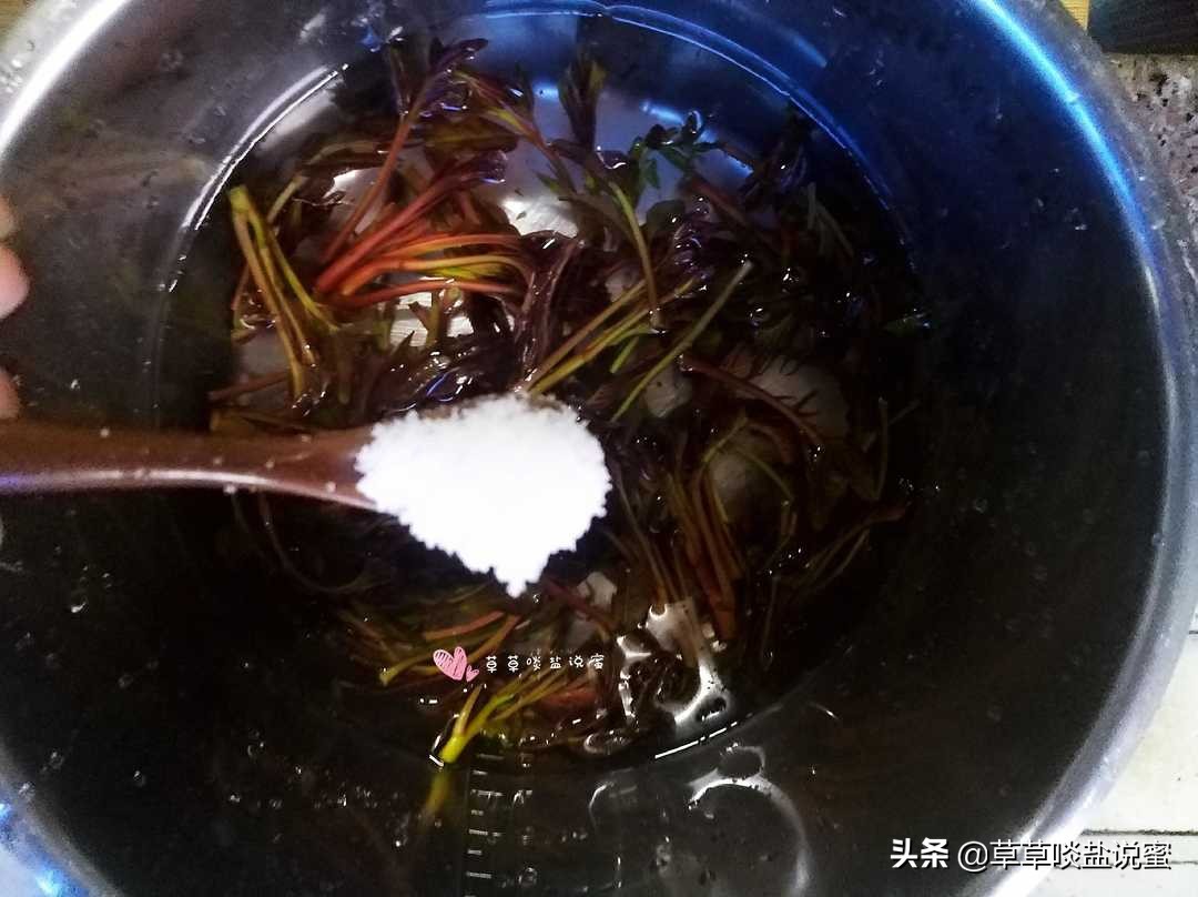香椿怎么吃才不会有异味,亚硝酸盐和硝酸盐香椿中都有吗
