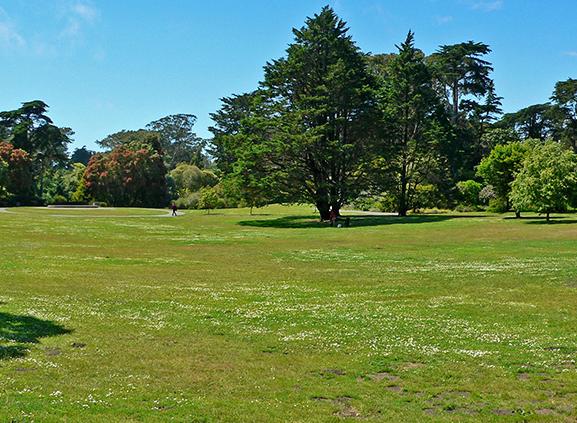 如何使用3DSMAX制作和渲染超逼真的3d草